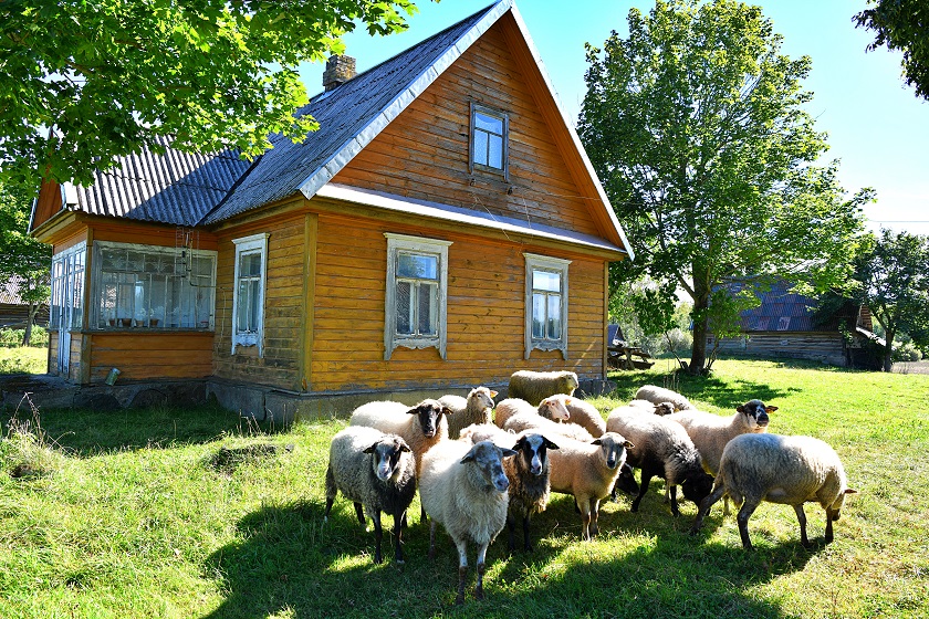 GRAŽI SODYBA EŽERŲ IR PUŠYNŲ APSUPTYJE ZARASŲ R., PADVARINĖS K. 2